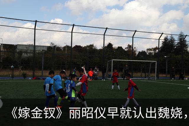《嫁金钗》丽昭仪早就认出魏娆，长命锁落地，她却选择了自保