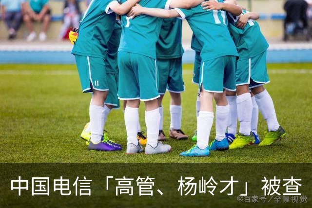 中国电信「高管、杨岭才」被查