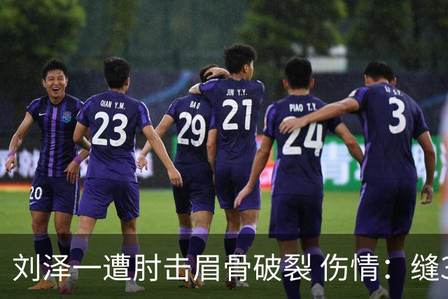刘泽一遭肘击眉骨破裂 伤情：缝30多针+伤停2周！