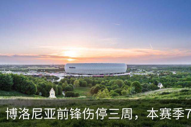 博洛尼亚前锋伤停三周，本赛季7场联赛仅进1球