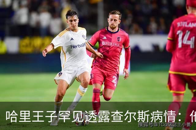 哈里王子罕见透露查尔斯病情：他正在好转