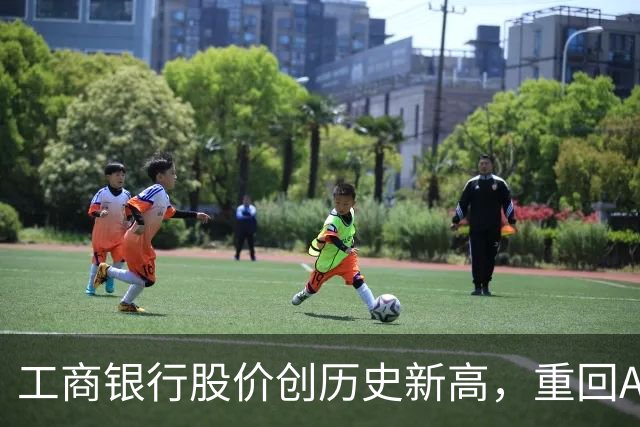 工商银行股价创历史新高，重回A股市值“一哥”宝座，长鑫科技市值跌破3万亿