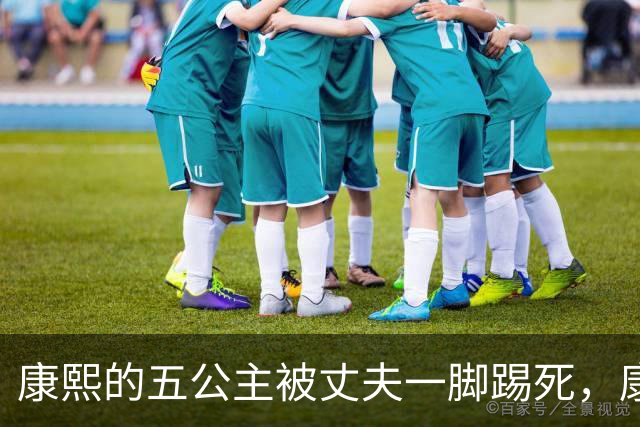 康熙的五公主被丈夫一脚踢死，康熙得知后，报复手段实在毒辣