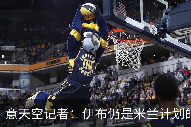 意天空记者：伊布仍是米兰计划的一部分