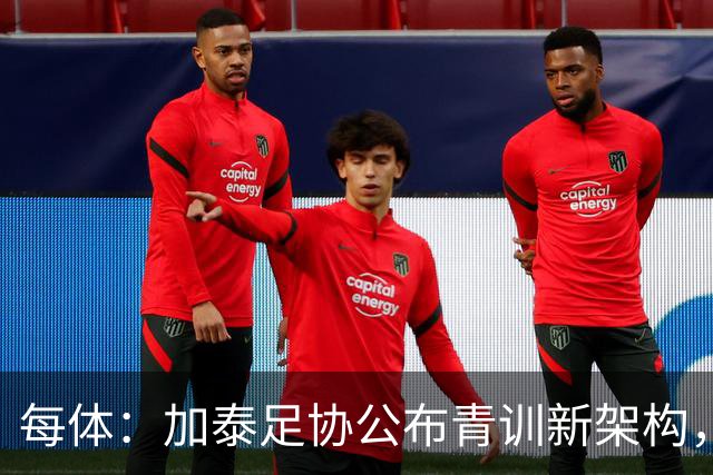 每体：加泰足协公布青训新架构，奥尔莫之父担任U16梯队技术主管