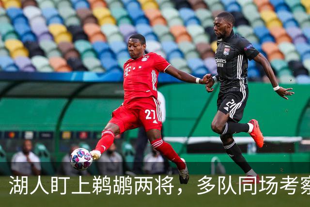 湖人盯上鹈鹕两将，多队同场考察墨菲与琼斯