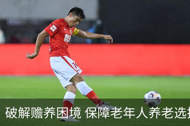 破解赡养困境 保障老年人养老选择权