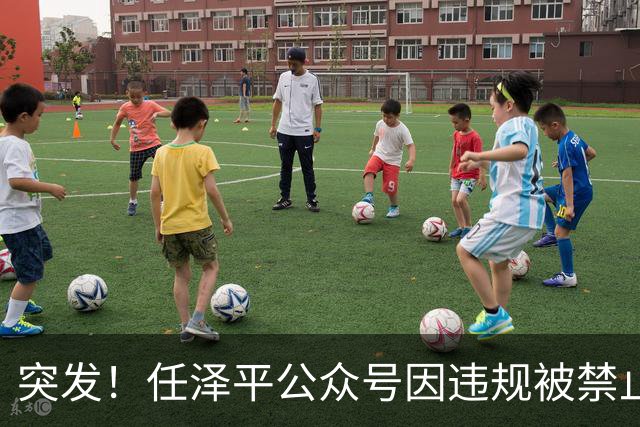 突发！任泽平公众号因违规被禁止关注