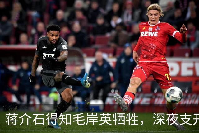 蒋介石得知毛岸英牺牲，深夜支开宋美龄，对蒋经国说出那番话