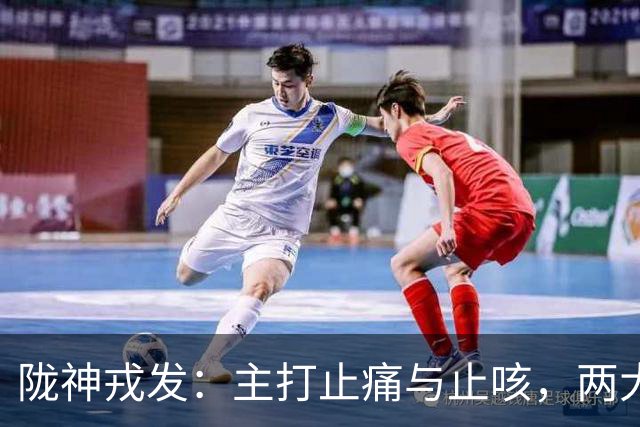 陇神戎发：主打止痛与止咳，两大独家中药保护品种构筑壁垒！