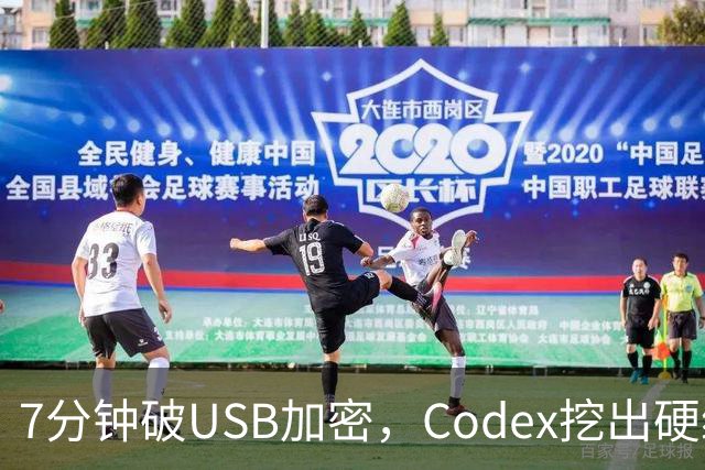 7分钟破USB加密，Codex挖出硬编码密钥