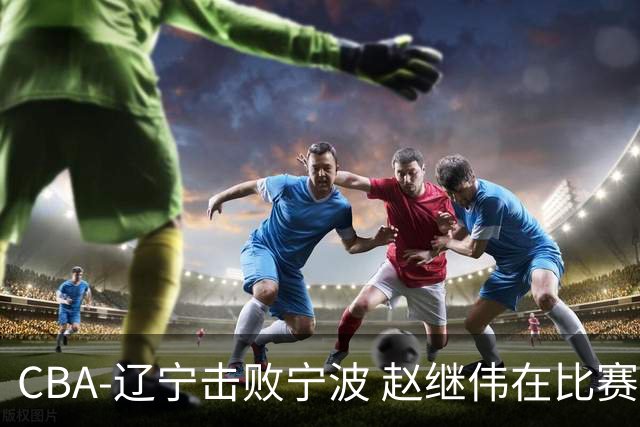 CBA-辽宁击败宁波 赵继伟在比赛中